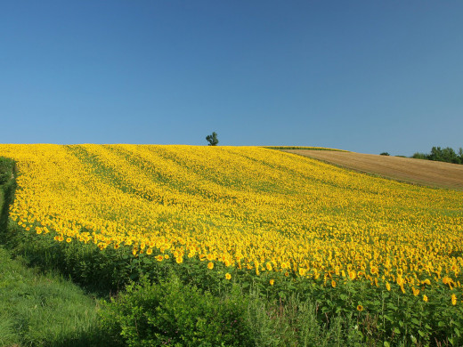 40882 (a): :1600x1200